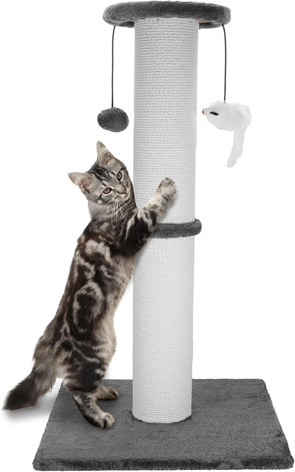Scratching Posts