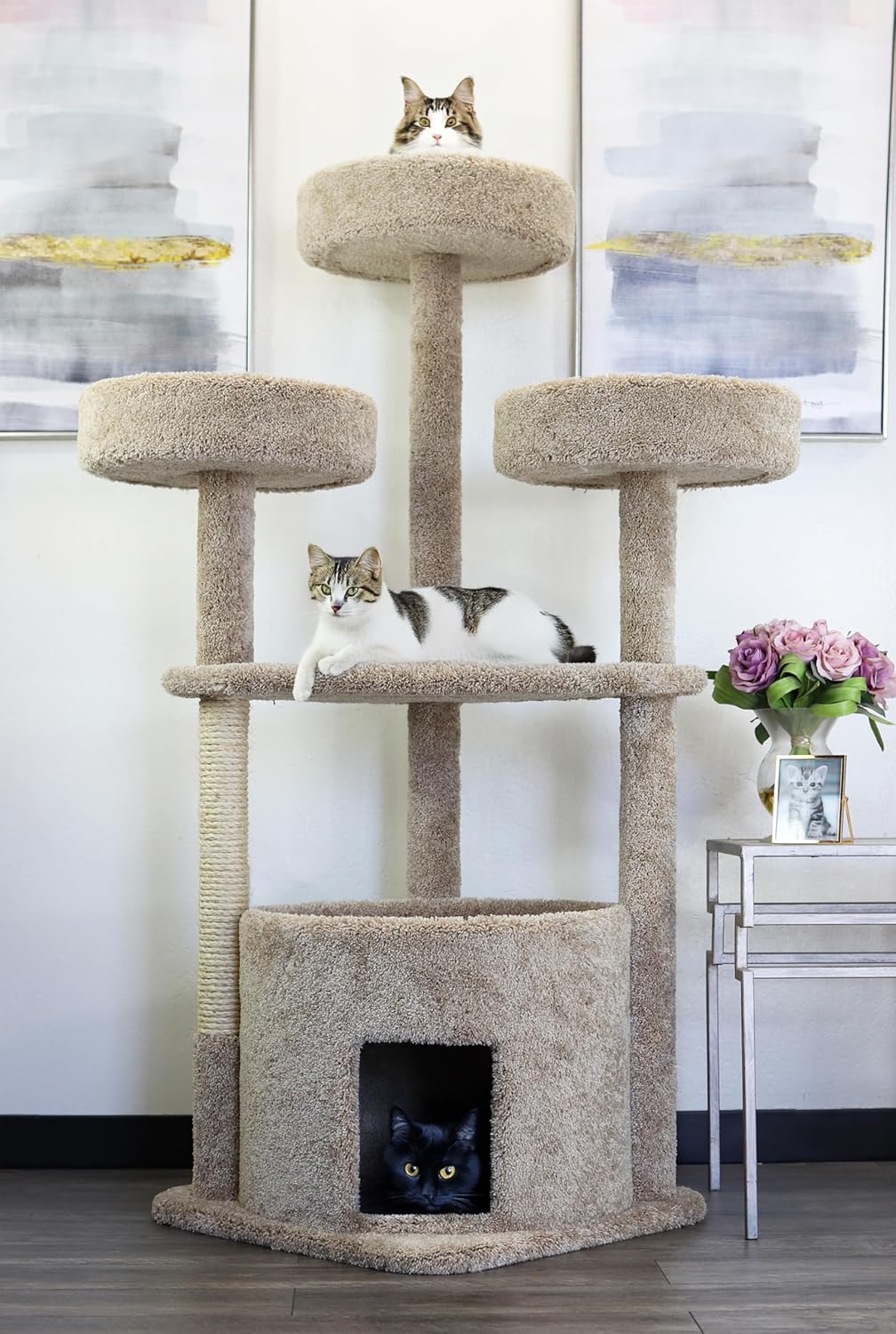 Main Coon Cat House Cat Tree
