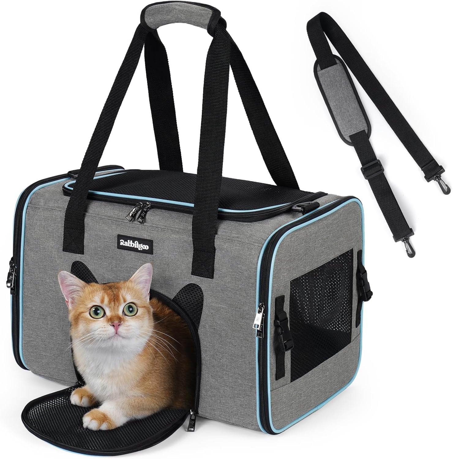 Cat Carrier