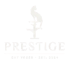 Prestige Cat Trees Official Website