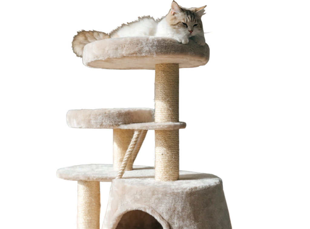Cream-colored cat resting on a beige multi-level cat tree with plush platforms and natural sisal scratching posts.